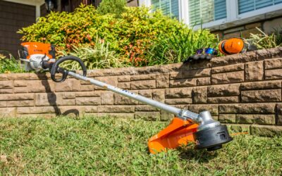 Top 5 Must-Have Power Tools for September Yard Work